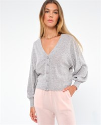 Absolut Cashmere Cardigan Chine Clair 
